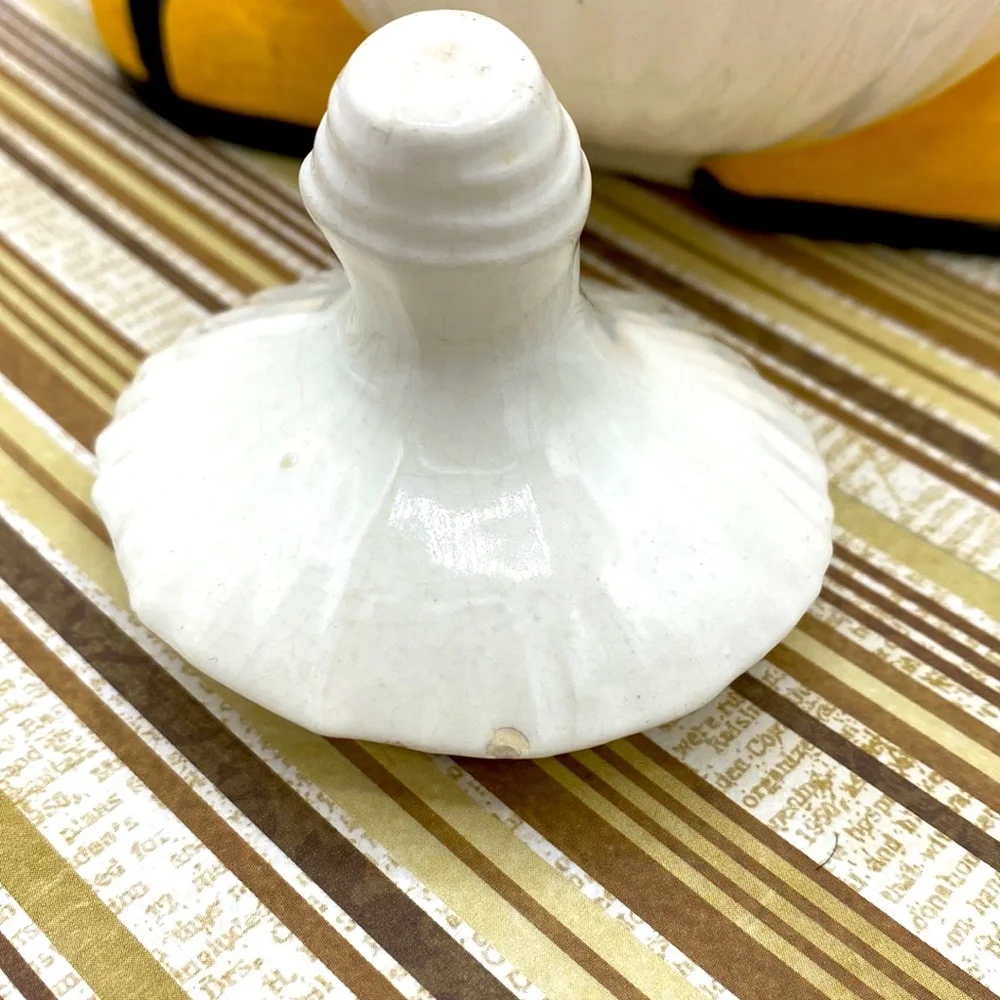 Vintage Lidded Crying Onion Jar Keeper
